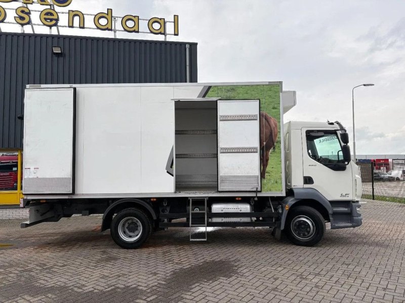 DAF LF 220 LF220FA + Thermo king + euro 6 + manual