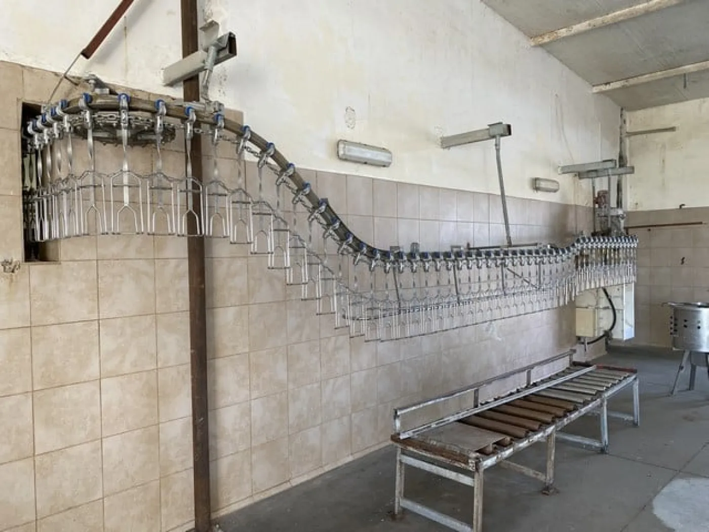 Poultry slaughter line, 2.000 bph - 4
