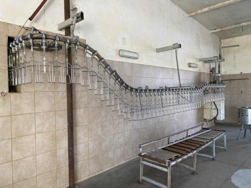 Poultry slaughter line, 2.000 bph