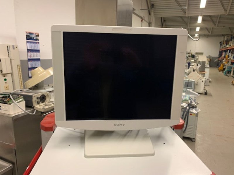 Sony LMD-1951 MD TFT-Display