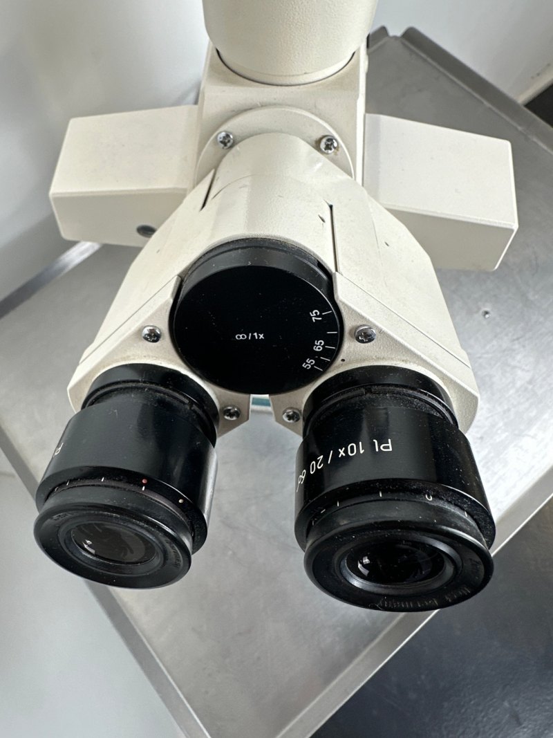 Carl Zeiss Axioskop Mikroskop