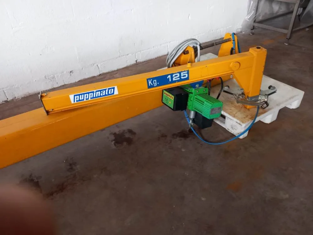 GRU A BANDIERA – PUPPINATO – MOD. JIB CRANE 125