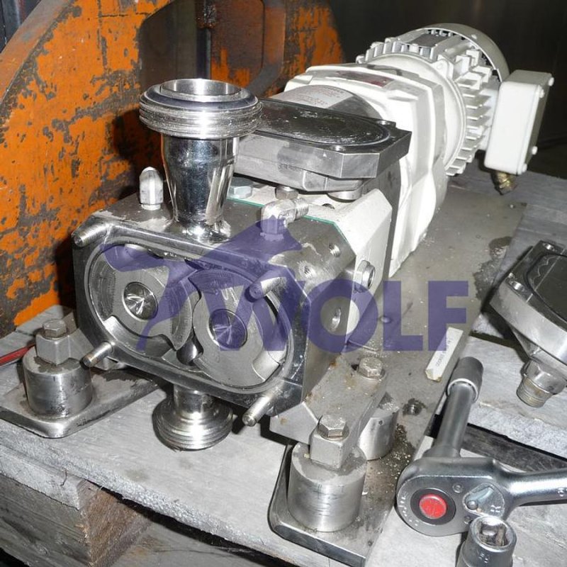 Edelstahl-Verdrängerpumpe FLUID Ltd. - beheizbar, Leistung: ca.