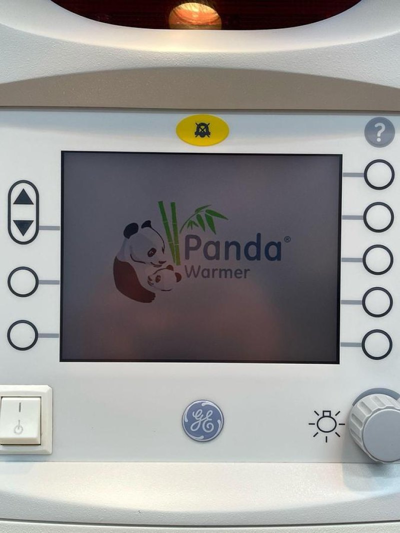 GE Panda Incubator YOM: 2010