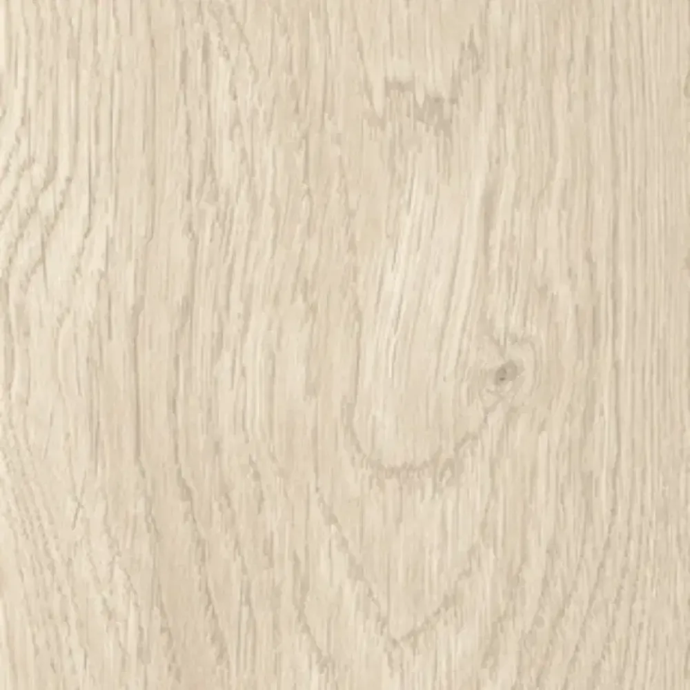 Verro 10MM Betina