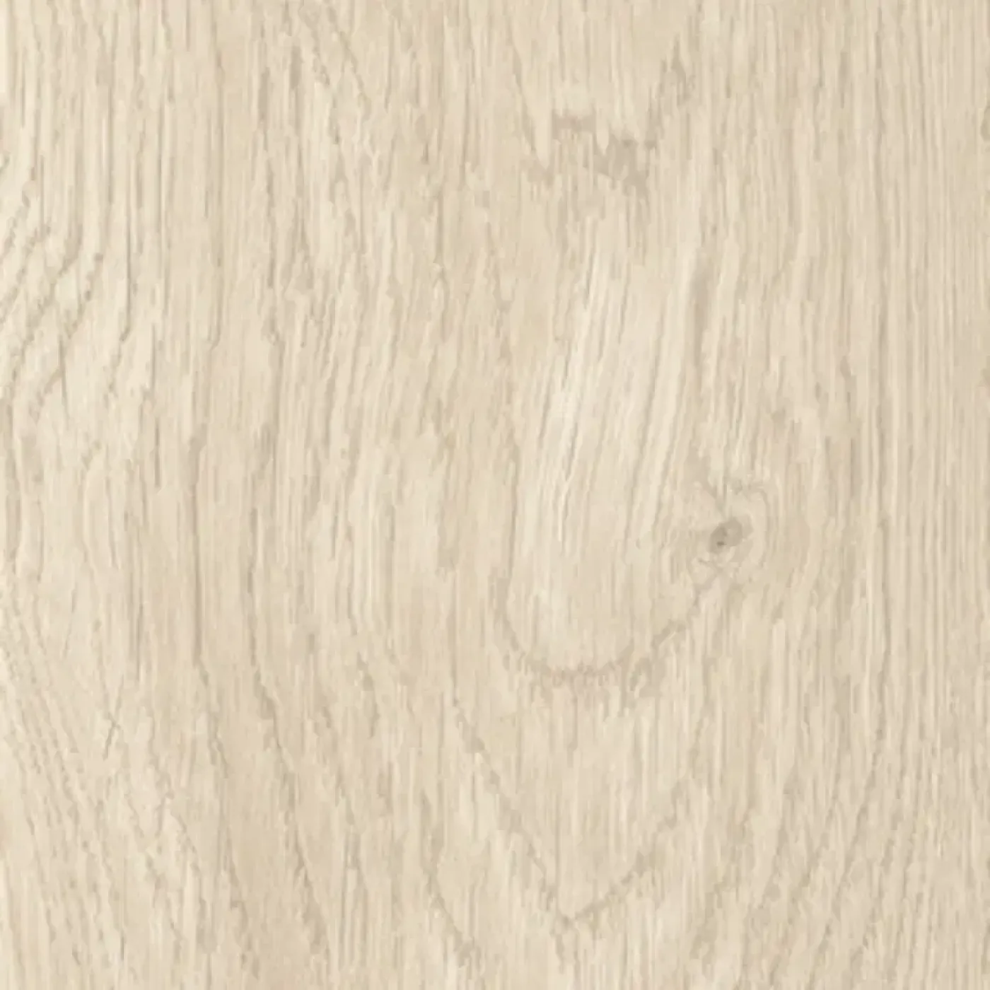 Verro 10MM Betina - 1