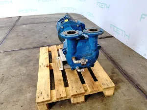 Robuschi RVS 21/80-24 - Vacuum pump