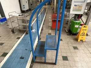 Unknown 500mm Steps with Handrail