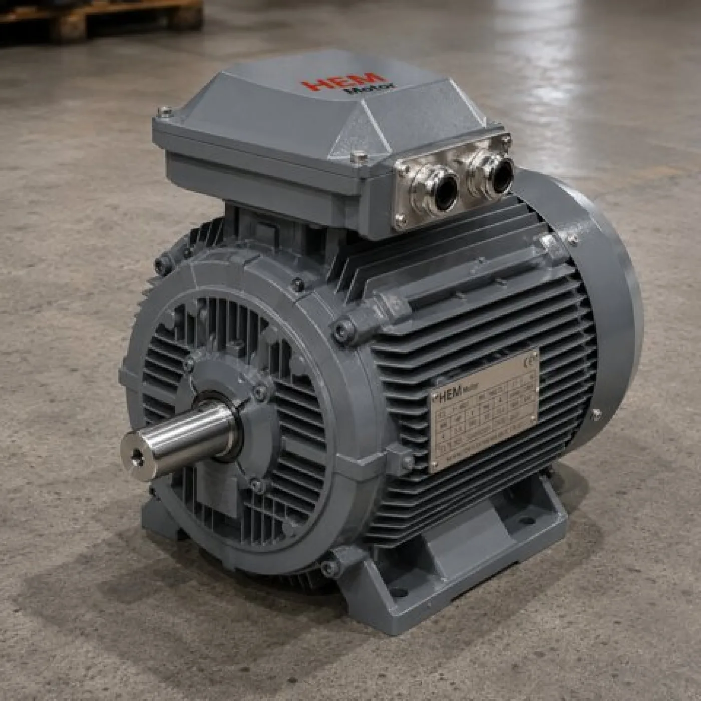 Three Phase Electric Motors - 2