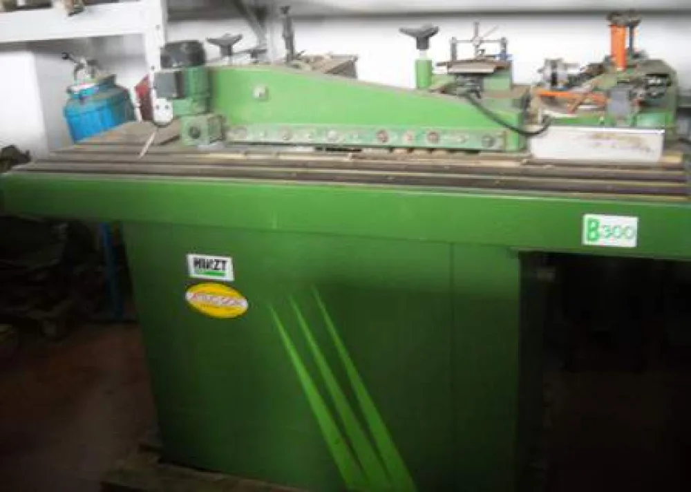 BORDATRICE HIRZT 300