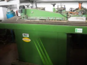 BORDATRICE HIRZT 300
