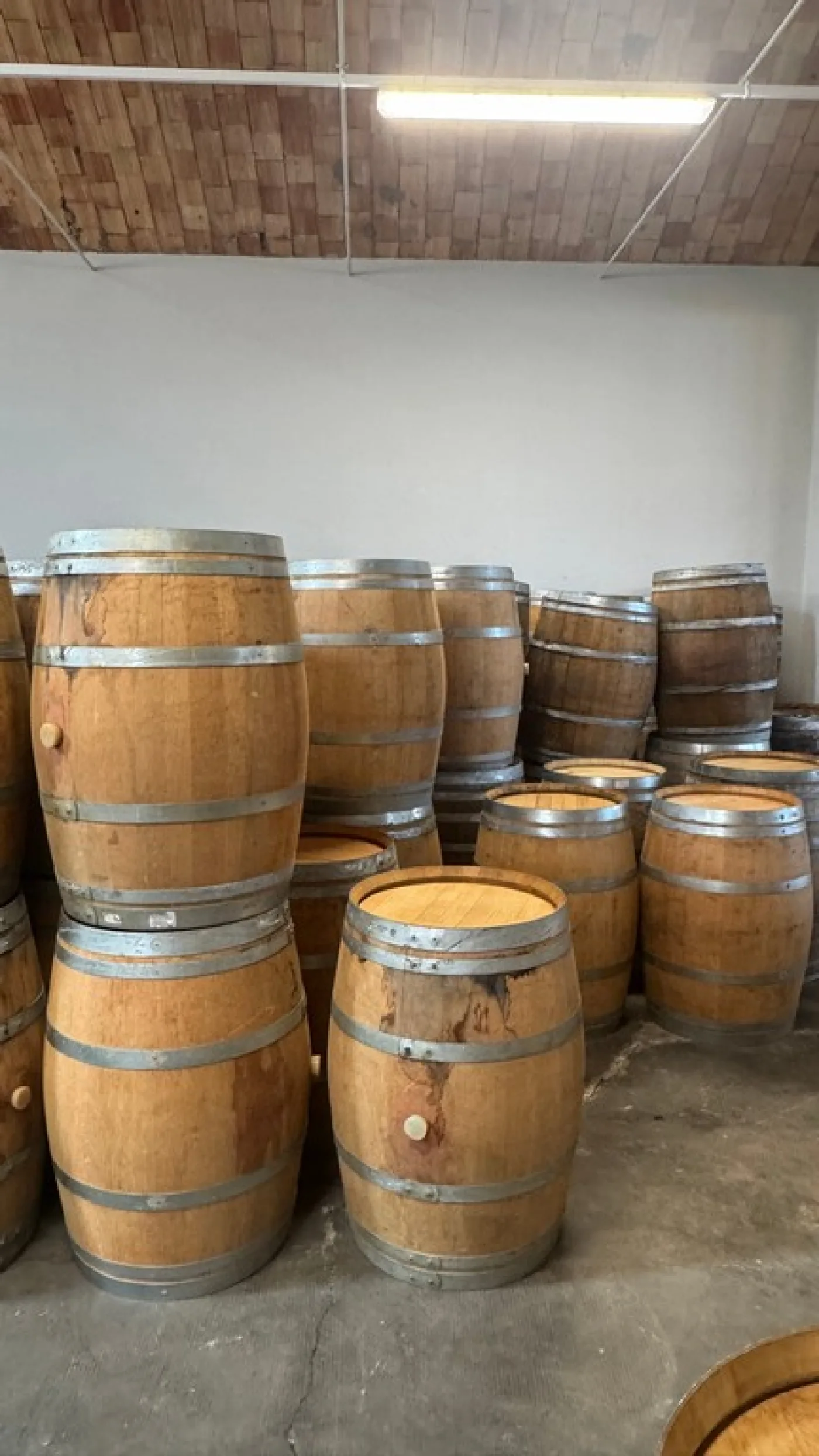 ESTHETIC BARRIQUES SECOND-HAND EQUIPMENT - 2