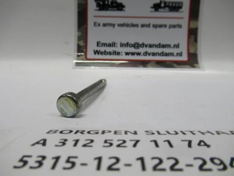 Borgpen sluithaak