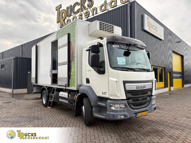 DAF LF 220 LF220FA + Thermo king + euro 6 + manual