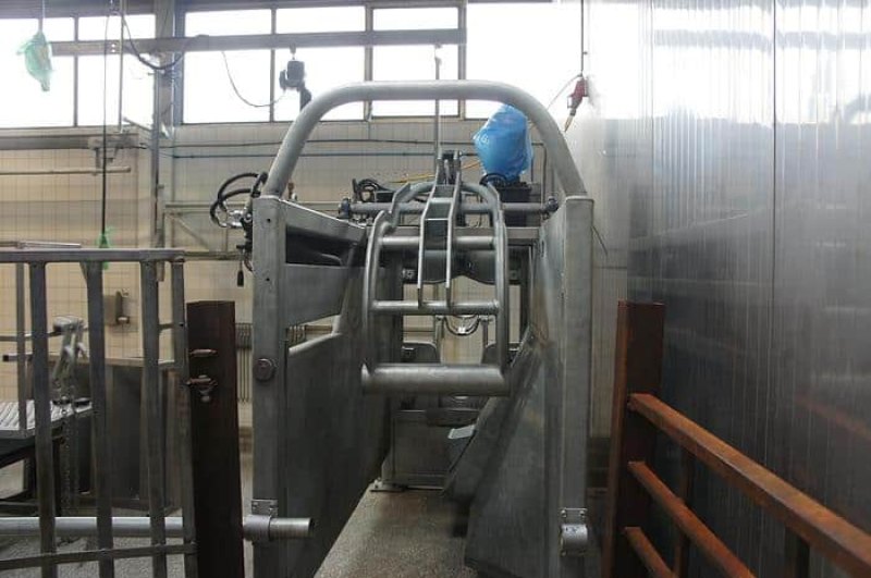 Various cattle slaughter lines, 5 up to 50 hph