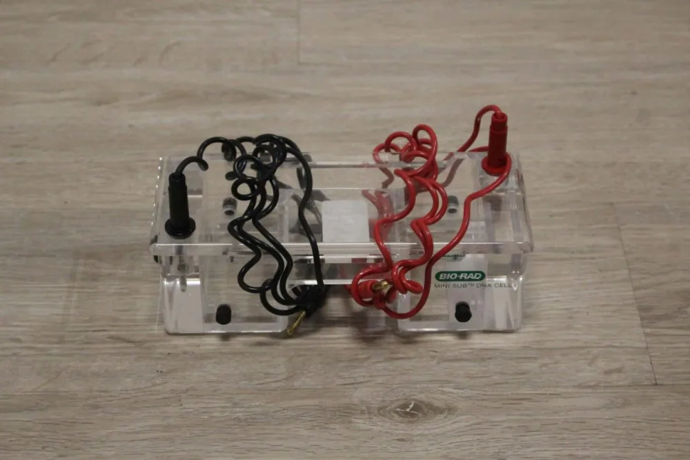 Bio-Rad Mini Sub Cell Electroforese Cel