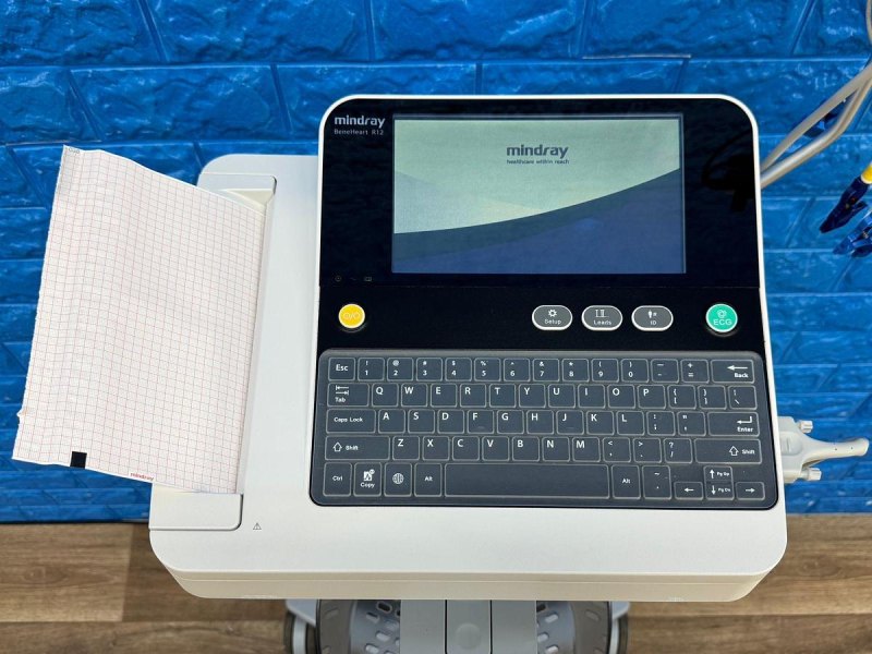 Mindray Electrocardiograph ECG Model: BeneHeart R12 YOM: 2022