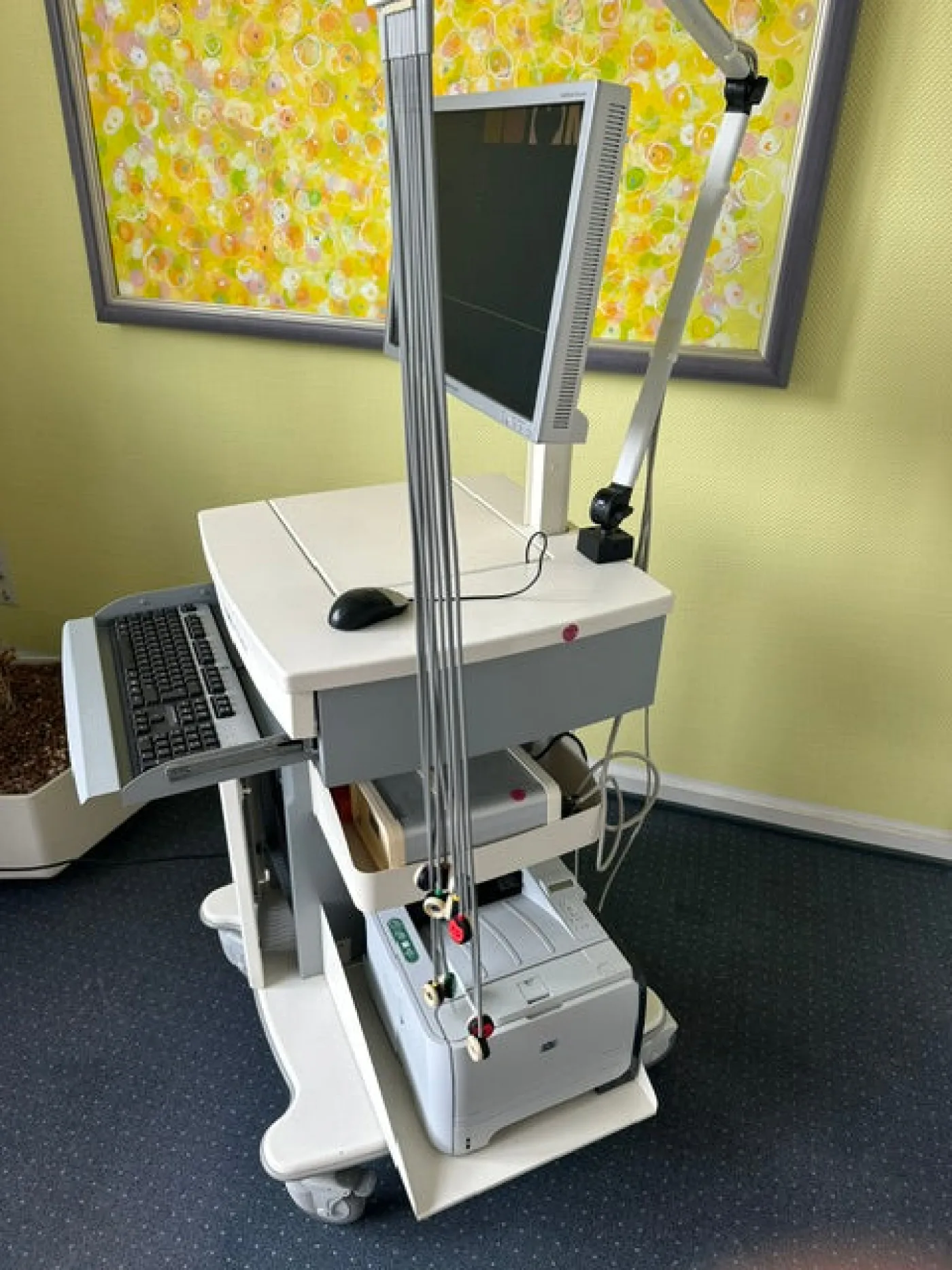 Mortara Instrument X-Scribe Belastungs-EKG - 2