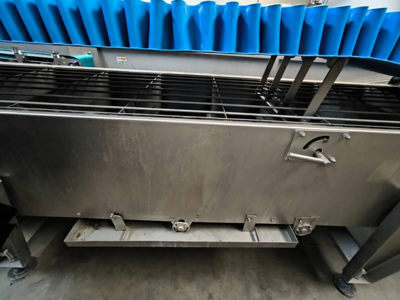 Paunch conveyor - 3