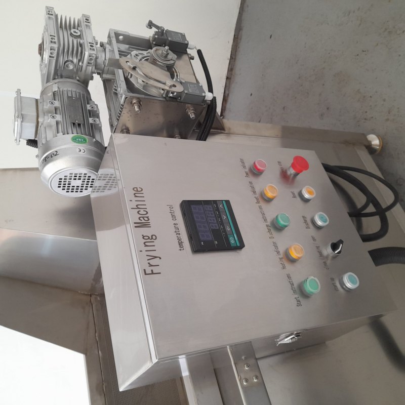 Electric Deep Fryer