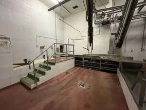 Pig Slaughter Line, GEDE Schlachttechnik, 60 pph