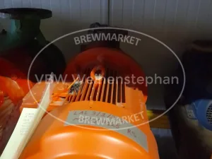 Gear motor