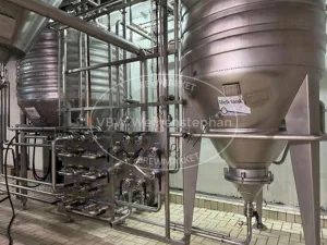 Yeast management system (2 tanks)