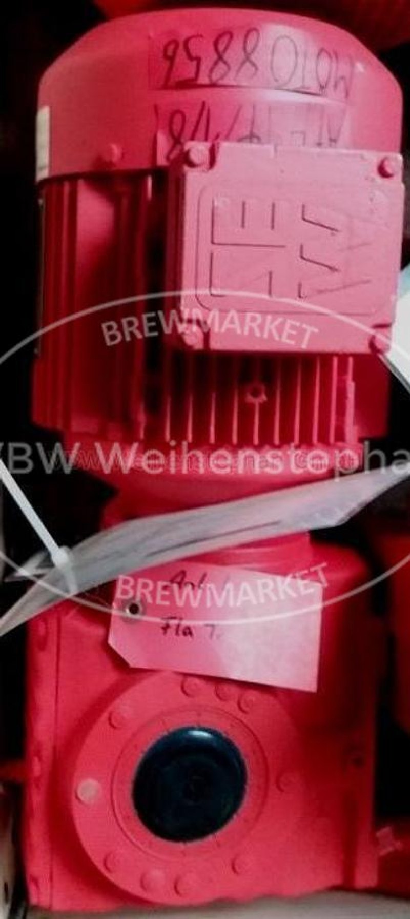 gear motor