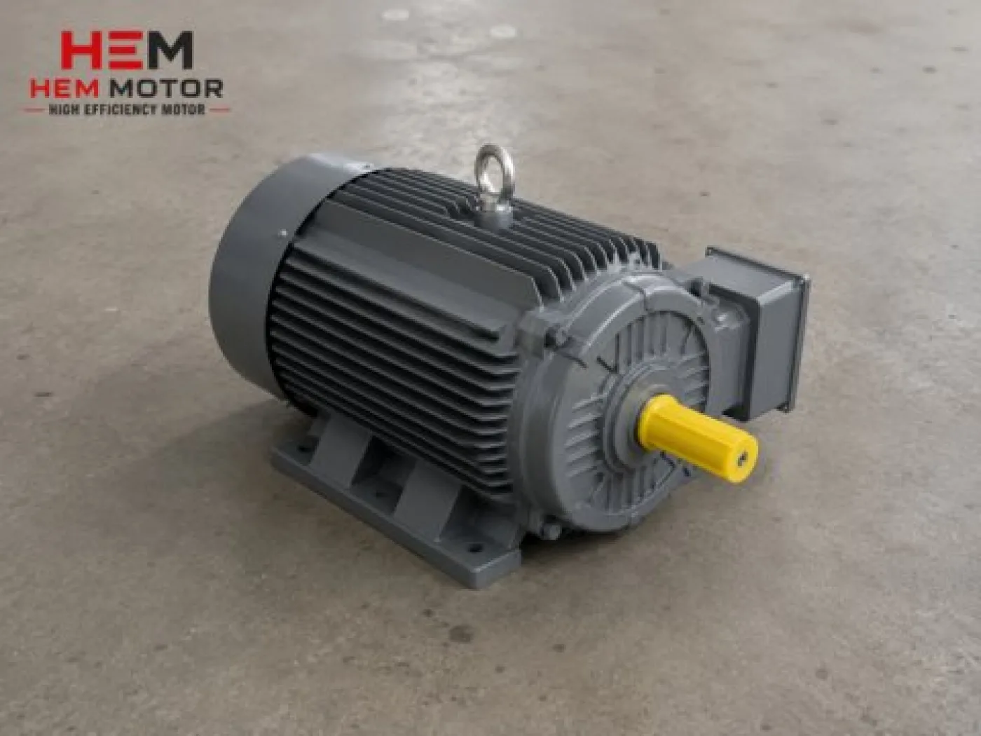 Cast Iron Body Electric Motors - 2