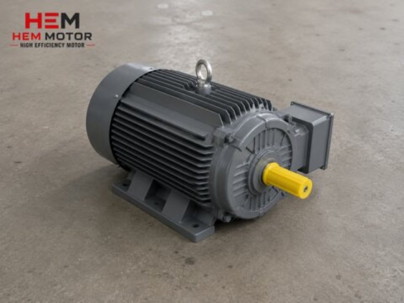 Cast Iron Body Electric Motors