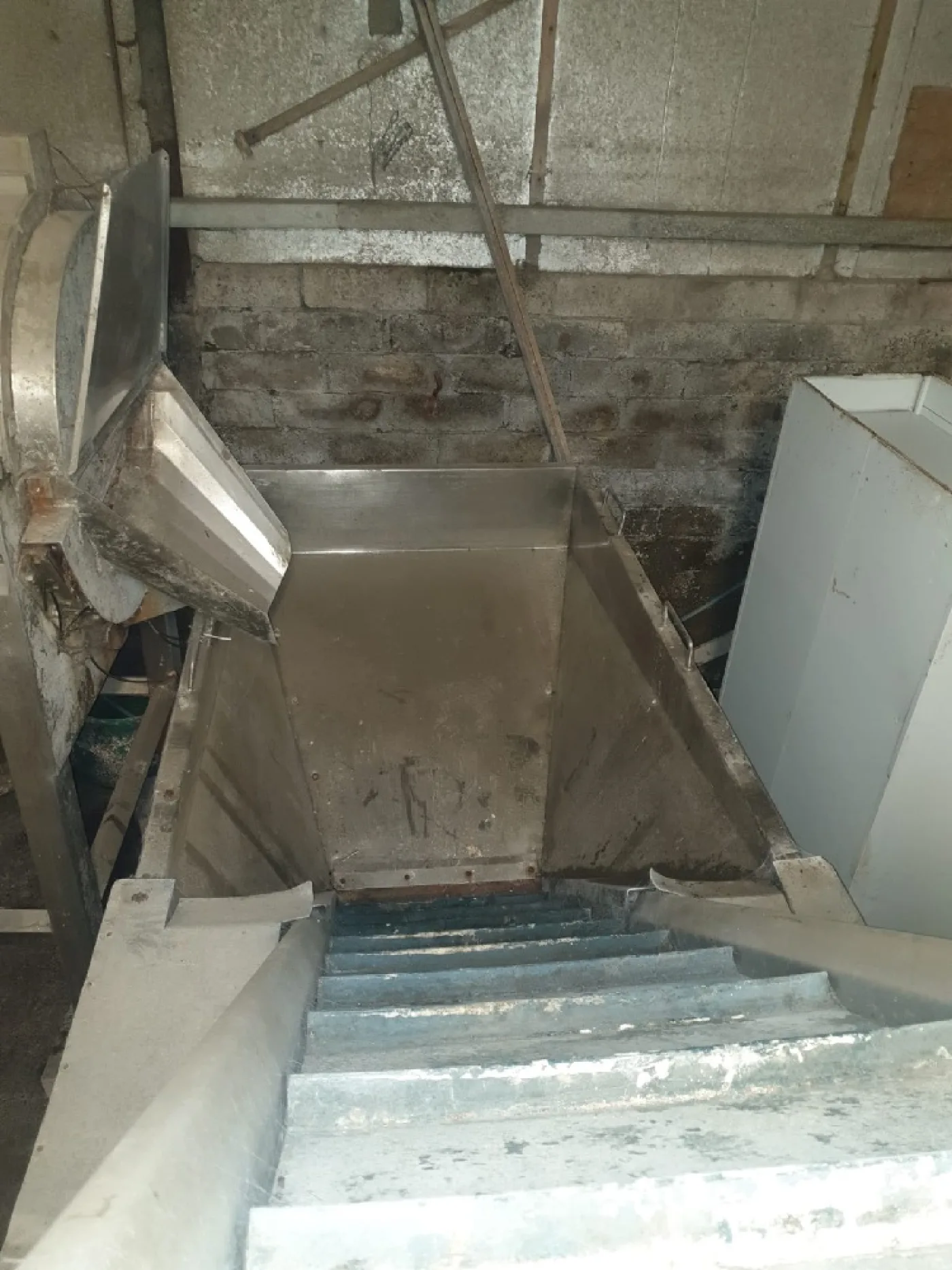 Potato Peeling Line - 6