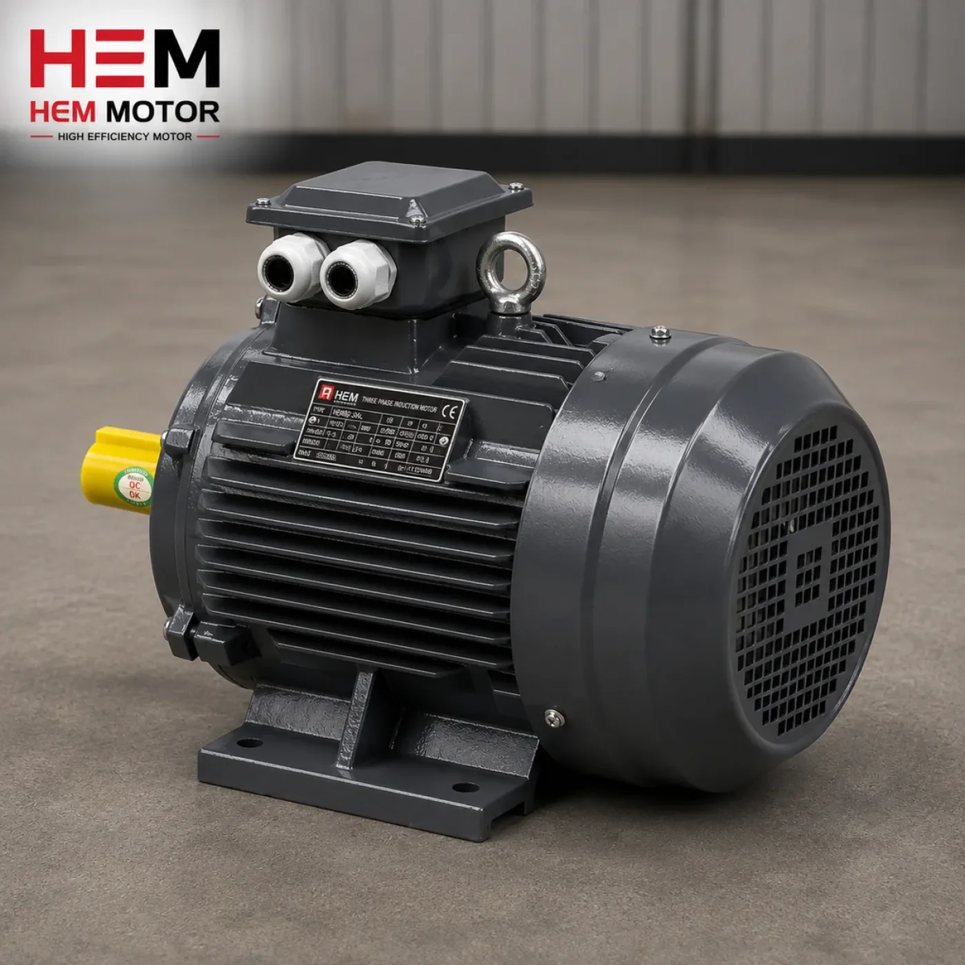 Three Phase Electric Motors - 1