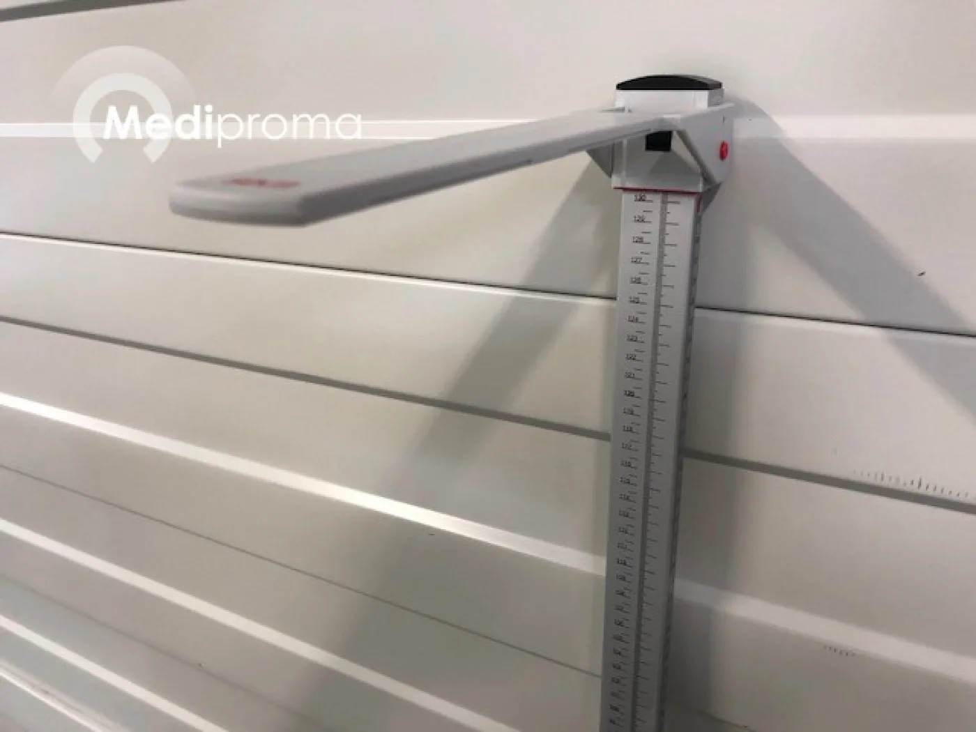 Seca 222 Measuring Rod - 1