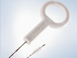 Disposable cleaning brush