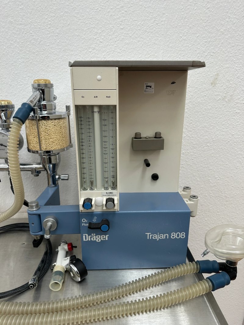 Dräger Trajan 808 blau Narkosegerät