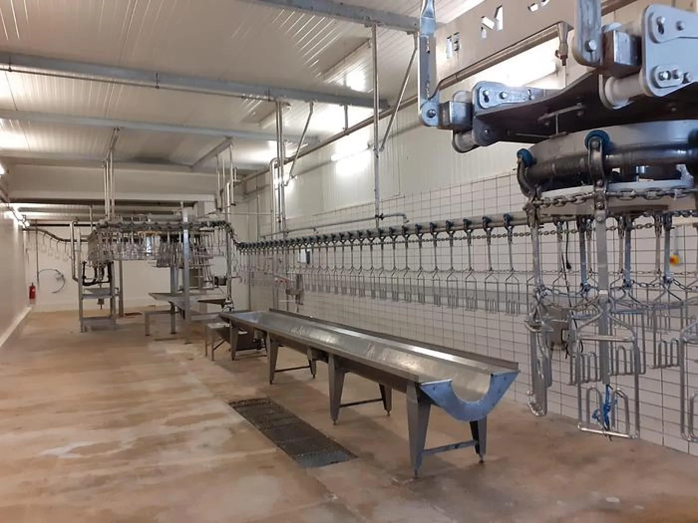 Poultry slaughter line, 3.000 bph - 3