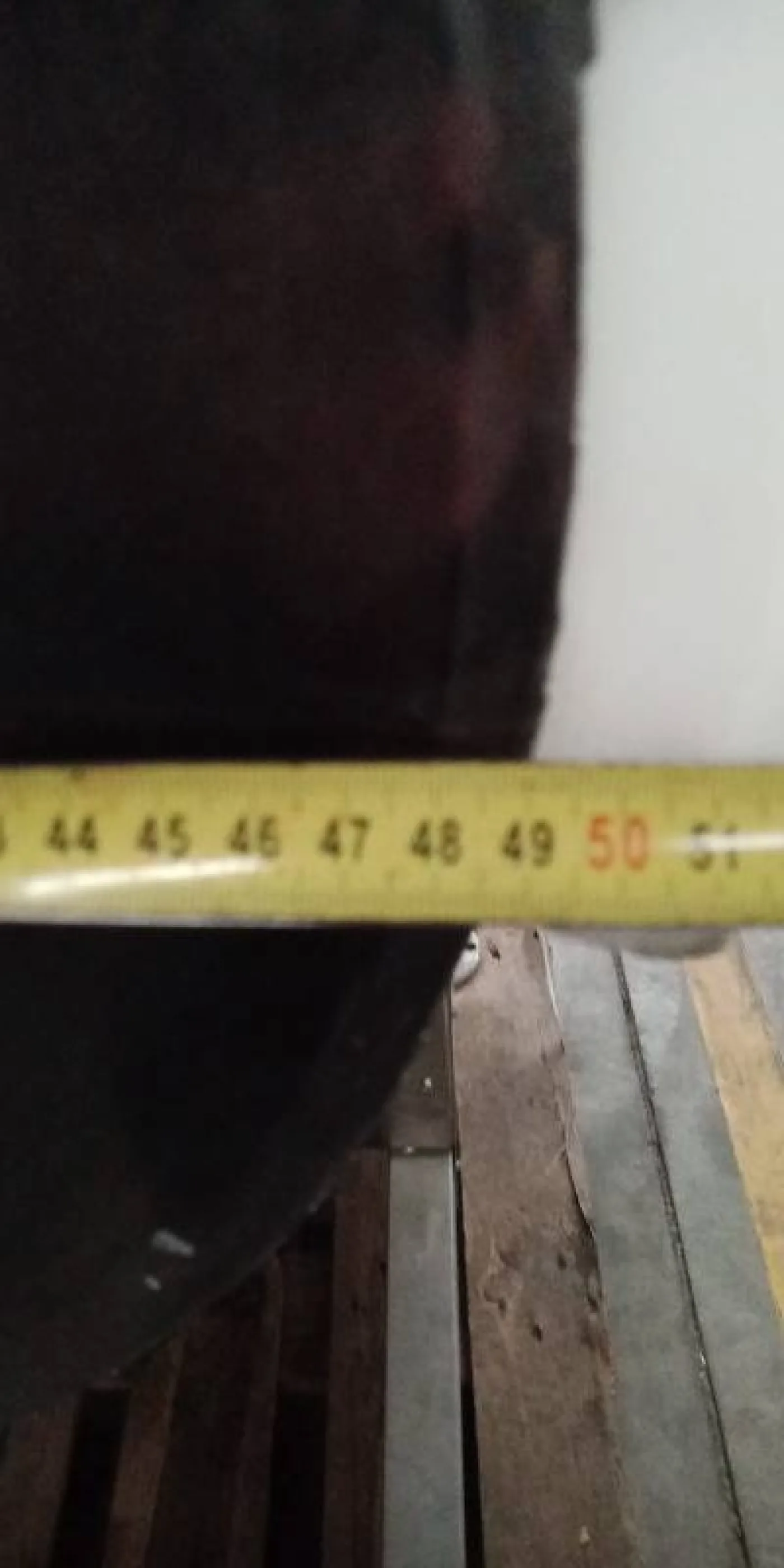 Circular primal cutting knife - 5