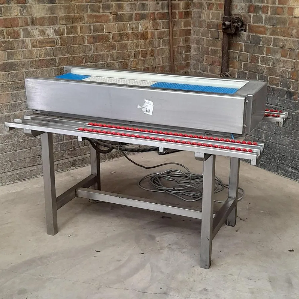BCV 16 Packing Conveyor