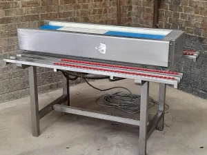 BCV 16 Packing Conveyor