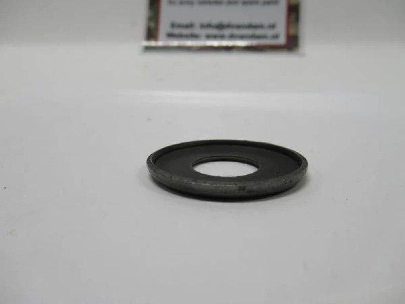 Borgplaat klepveer