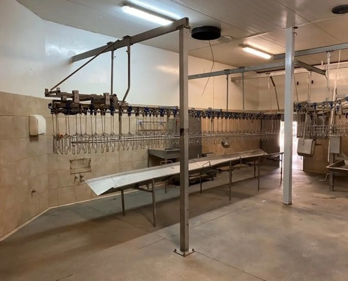 Poultry slaughter line, 2.000 bph - 3