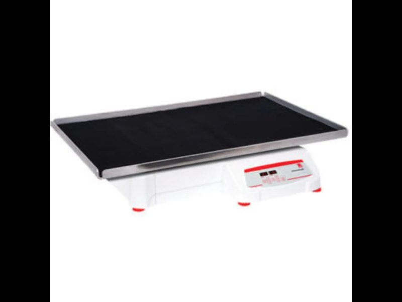Ohaus Heavy Duty Orbital Shaker 25mm | SHHD6825DG