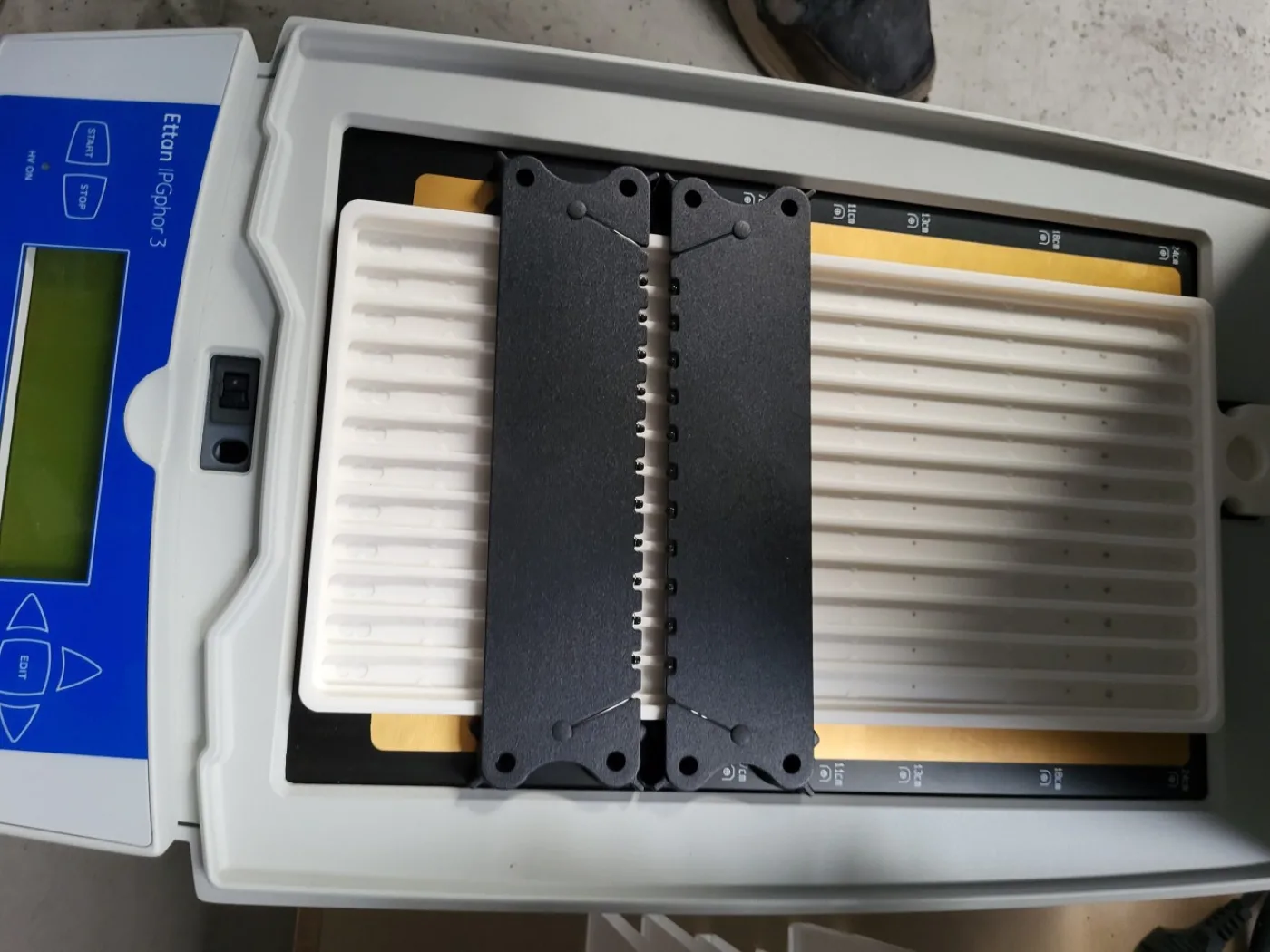 New arrival GE Ettan IGphor 3 IEF system - 2