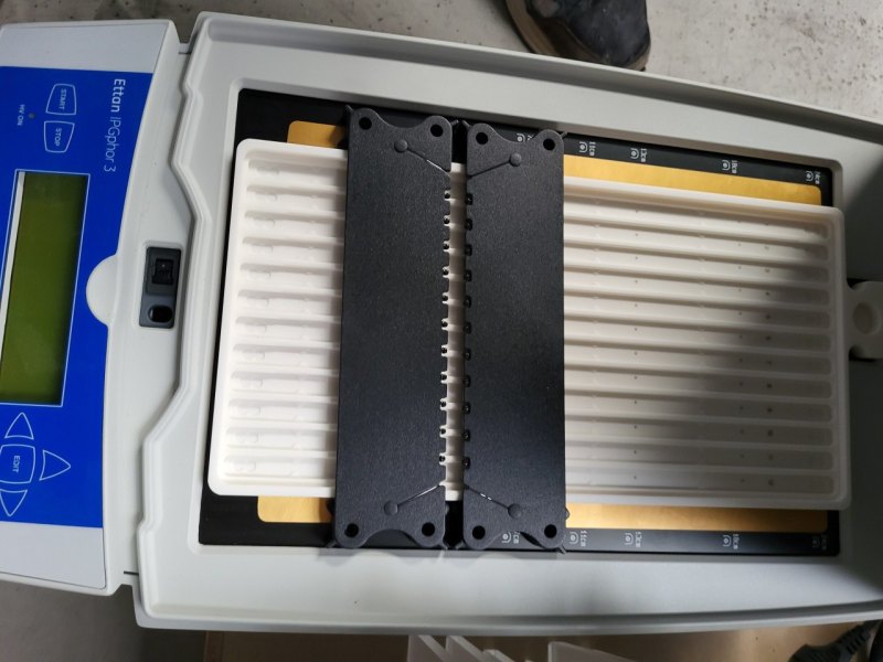 New arrival GE Ettan IGphor 3 IEF system