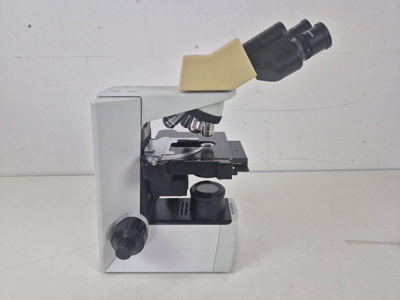 Olympus CX31RBSF Microscope
