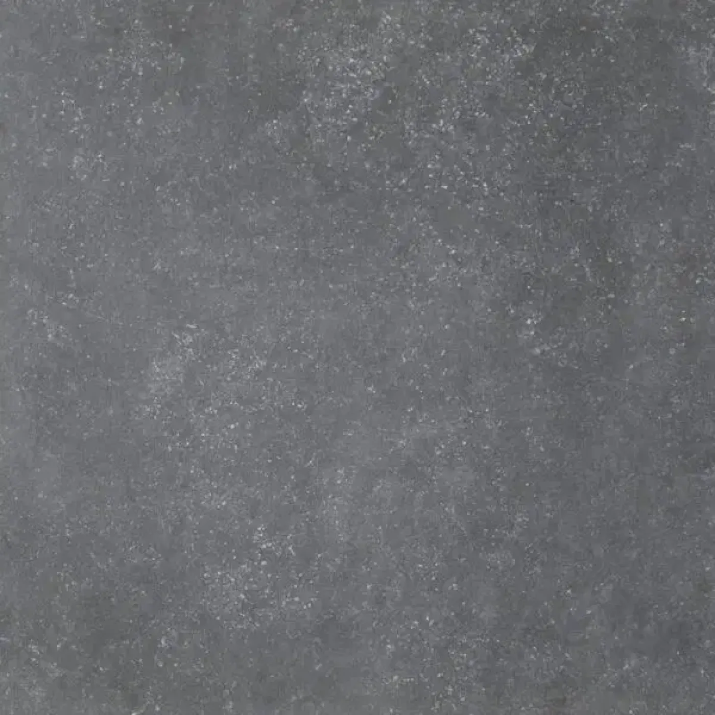 Blue label 20MM Graphite - 1