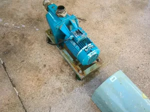 CALPEDA NG6/22E 1.5 KW SELF-PRIMING PUMP