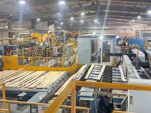 USNR sawmill + sorting