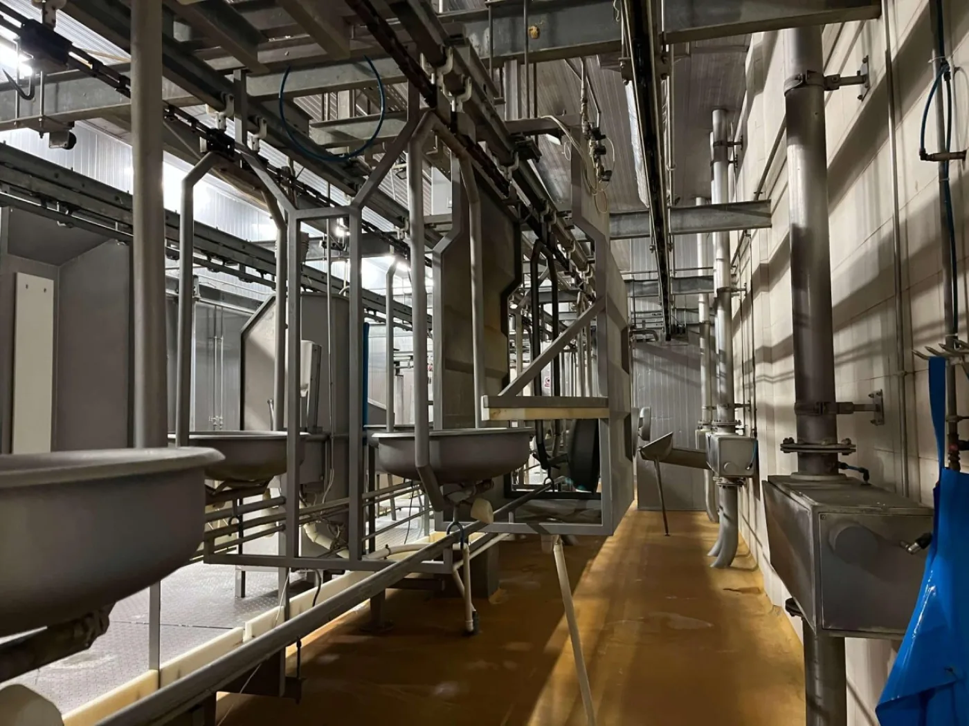 Pig slaughter line, GMN Techmet, 90 pph - 5