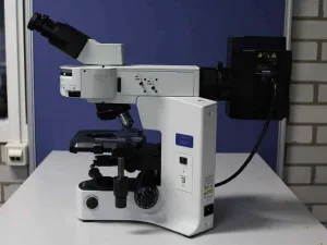 Olympus BX41TF Doorvallend Licht Fluorescentie Microscoop